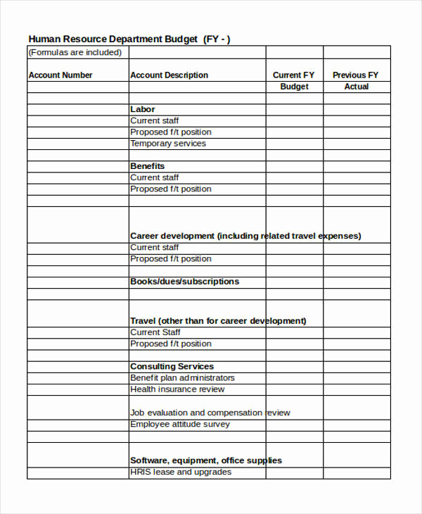 Human Resource Budget Template New Research Plan Example