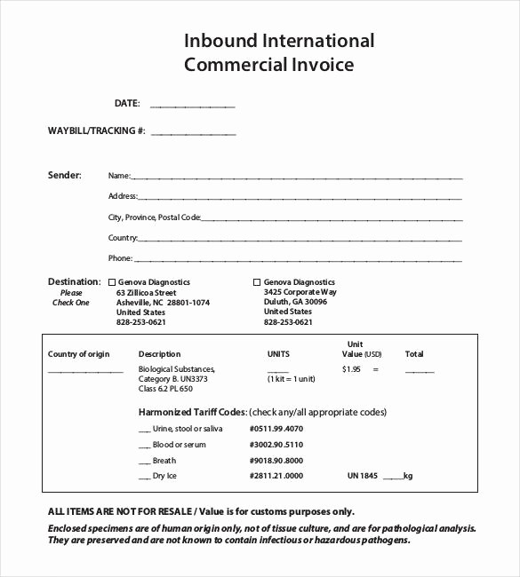 International Commercial Invoice Template Word Fresh 38 Mercial Invoice Templates Word Excel Pdf Ai