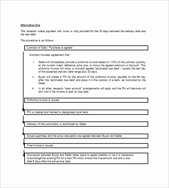 International Promissory Note Template Elegant 8 International Promissory Note Templates Google Docs