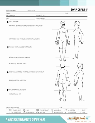 Massage therapy soap Note Template Fresh Massamio soap Chart Massage