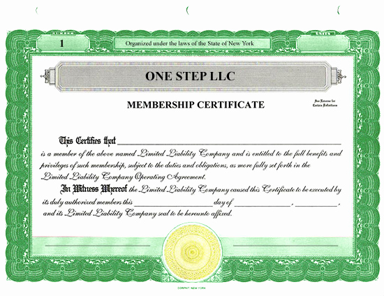 Membership Certificate Llc Template Lovely Llc Membership Certificate Template Fillable Llc