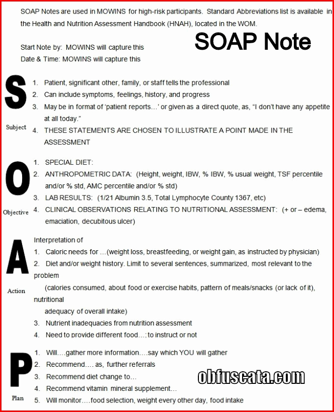 Mental Health soap Note Template Beautiful What is A soap Note