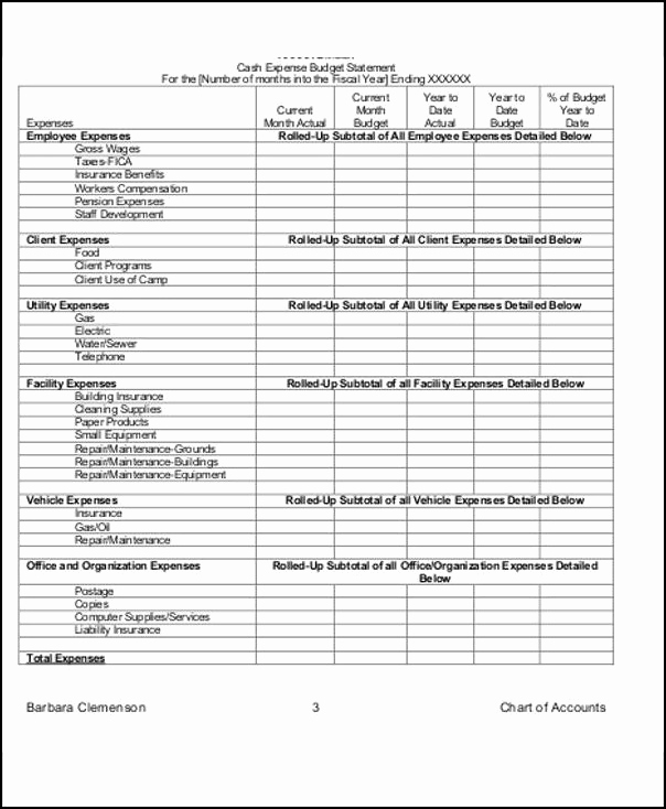 Non Profit Invoice Template Fresh Non Profit Bud Template – Emmamcintyrephotography