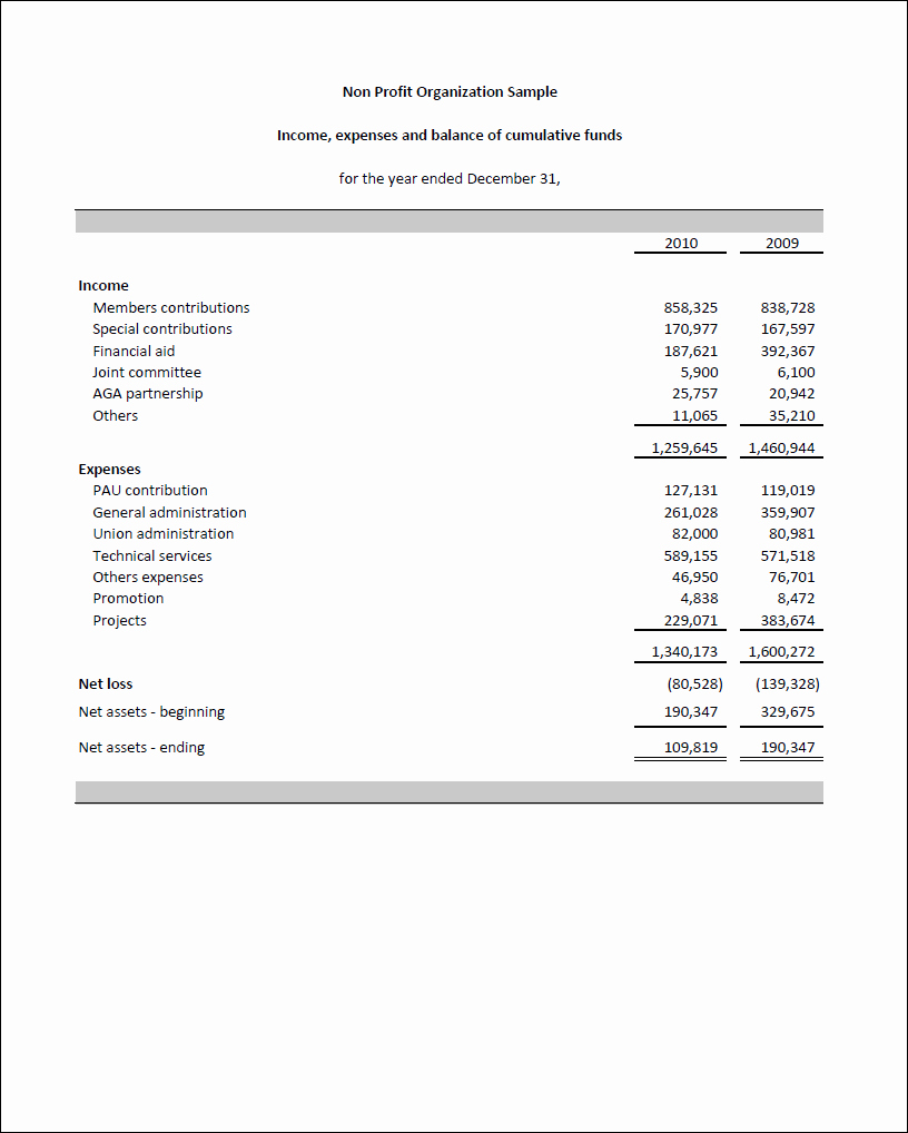 Non Profit Invoice Template Lovely Sample Npo Financial Statements