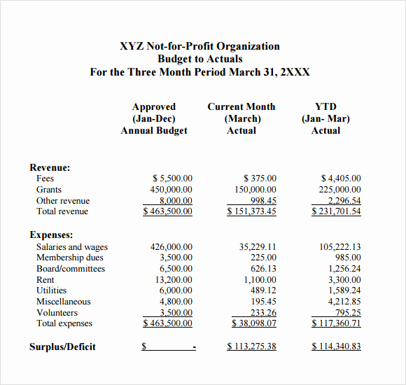 Non Profit organization Budget Template Awesome 13 Non Profit Bud Templates In Google Docs