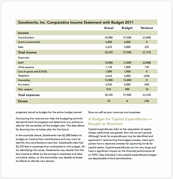 Non Profit organization Budget Template Awesome Nonprofit Bud Template