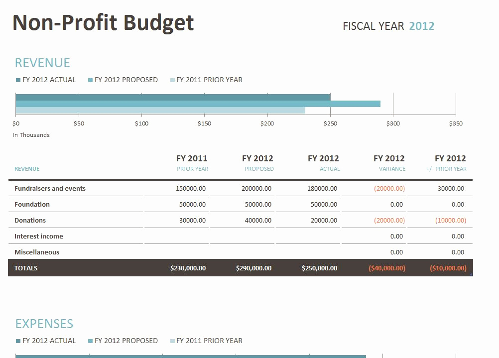 Non Profit organization Budget Template Beautiful Non Profit Bud Template