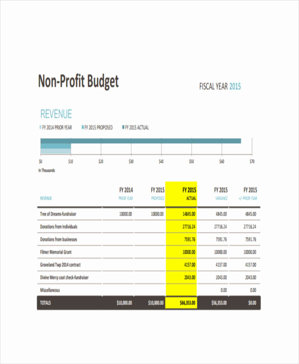 Non Profit organization Budget Template Inspirational 11 Nonprofit Bud Templates Word Pdf Excel