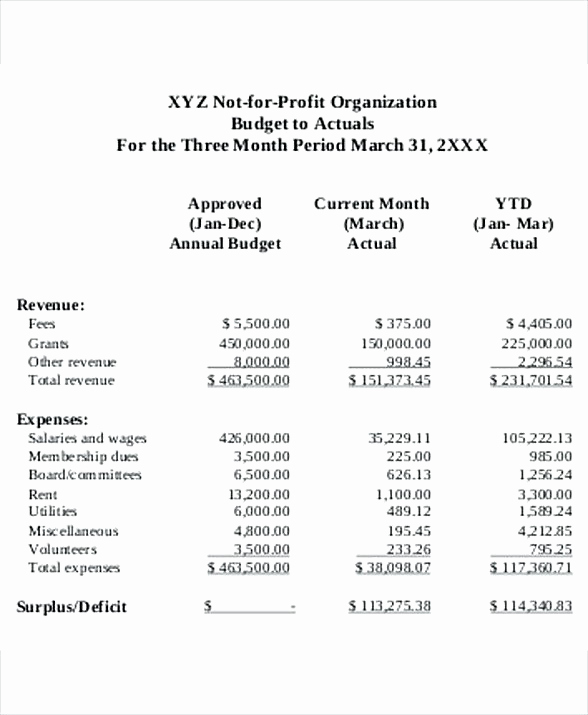 Non Profit organization Budget Template Lovely 8 Non Profit Bud Template