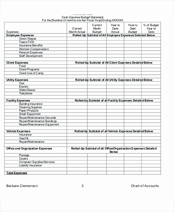 Nonprofit Program Budget Template Fresh Nonprofit Development Bud Template 8 Non Profit