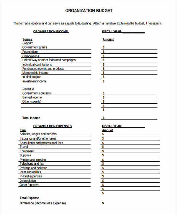 Nonprofit Program Budget Template New 12 Program Bud Templates Word Pdf Pages