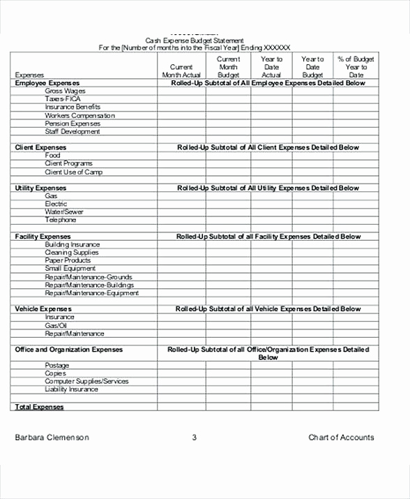 Nonprofit Program Budget Template New 8 Non Profit Bud Template