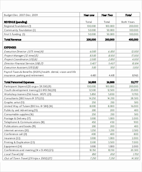 Nonprofit Program Budget Template Unique Nonprofit Bud Template – Emmamcintyrephotography