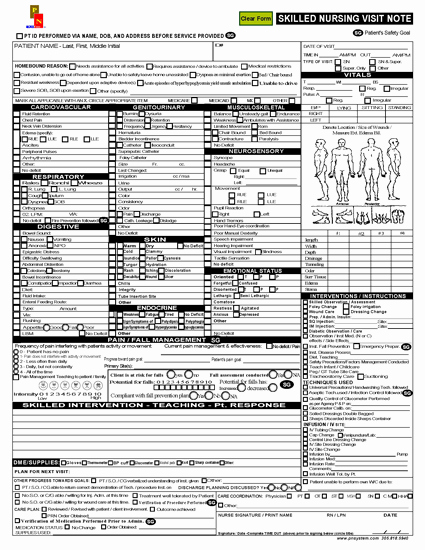 Nursing Progress Notes Template Unique Wel E [pnsystem]