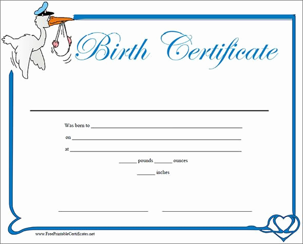 Official Blank Birth Certificate Template Beautiful Birth6