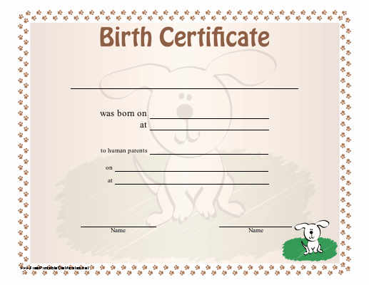 Old Birth Certificate Template Inspirational Florida Judge Approves Birth Certificate Listing Three