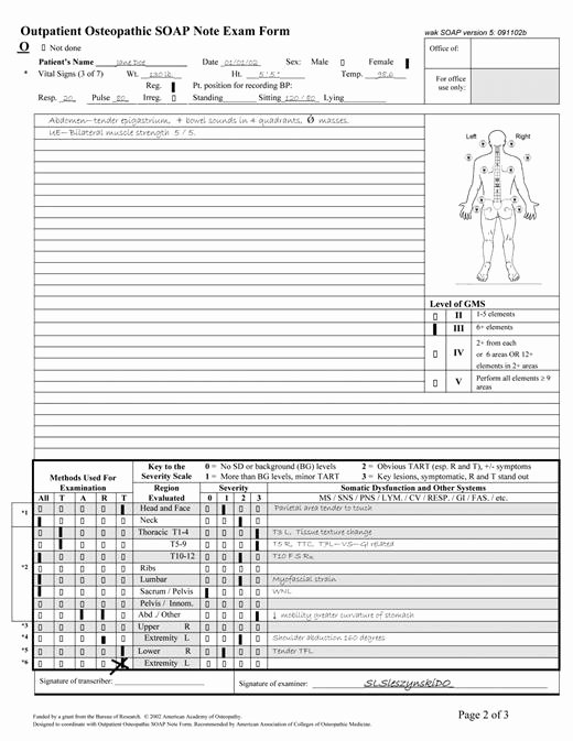 Outpatient Psychiatric Progress Note Template Luxury Outpatient Osteopathic soap Note form Preliminary Results