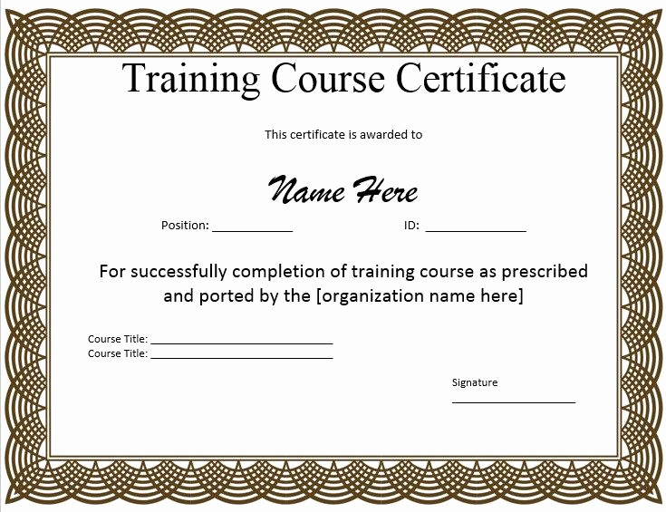 Pdf Certificate Template Free Lovely 10 Training Certificate Templates