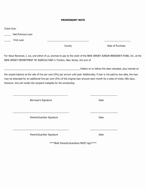 Promissory Note Template Word Awesome Free Promissory Note Template Word