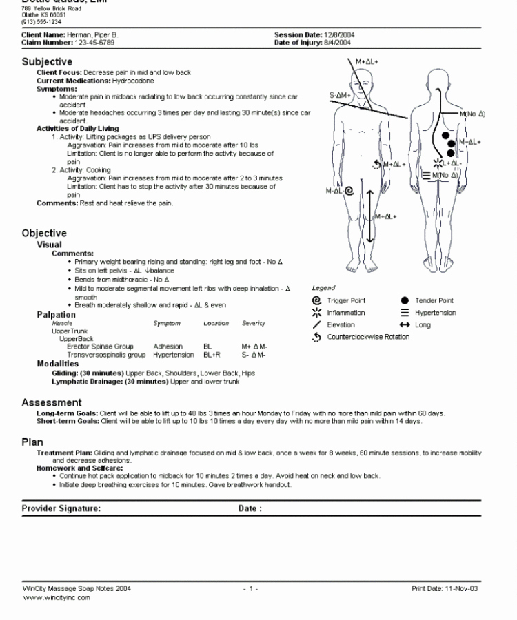 Psychotherapy Note Template Word Awesome Massage therapy Progress Report Template