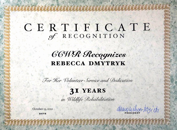Service Award Certificate Template Beautiful Wildrescue S Blog Reunite Wildlife