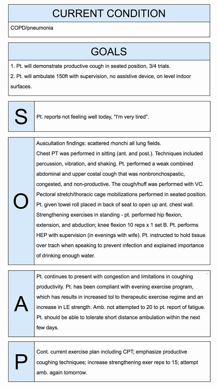 Soap Notes Speech therapy Template Luxury How to Write Incredible Physical therapist soap Notes