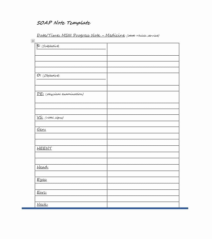 Soap Progress Notes Template Fresh 40 Fantastic soap Note Examples &amp; Templates Templatelab