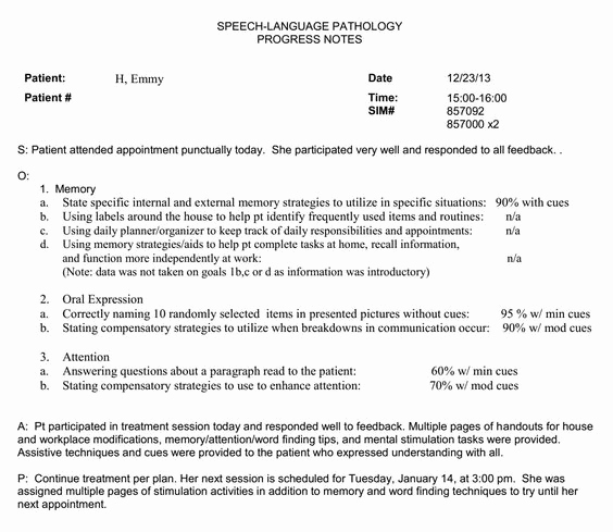 Speech therapy soap Notes Template Beautiful Nancy Swigert Progress Note Example Every 10th Note She