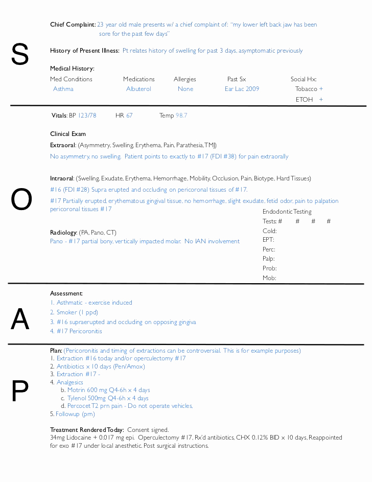 Speech therapy soap Notes Template Luxury soap Note Example Alisen Berde