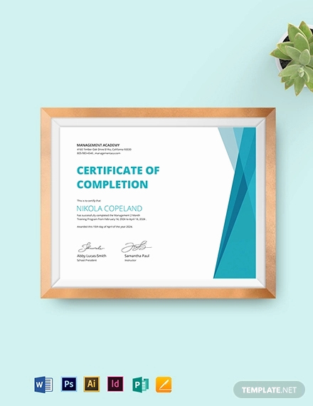 Training Certificate Template Doc Awesome 29 Training Certificate Templates Doc Psd Ai