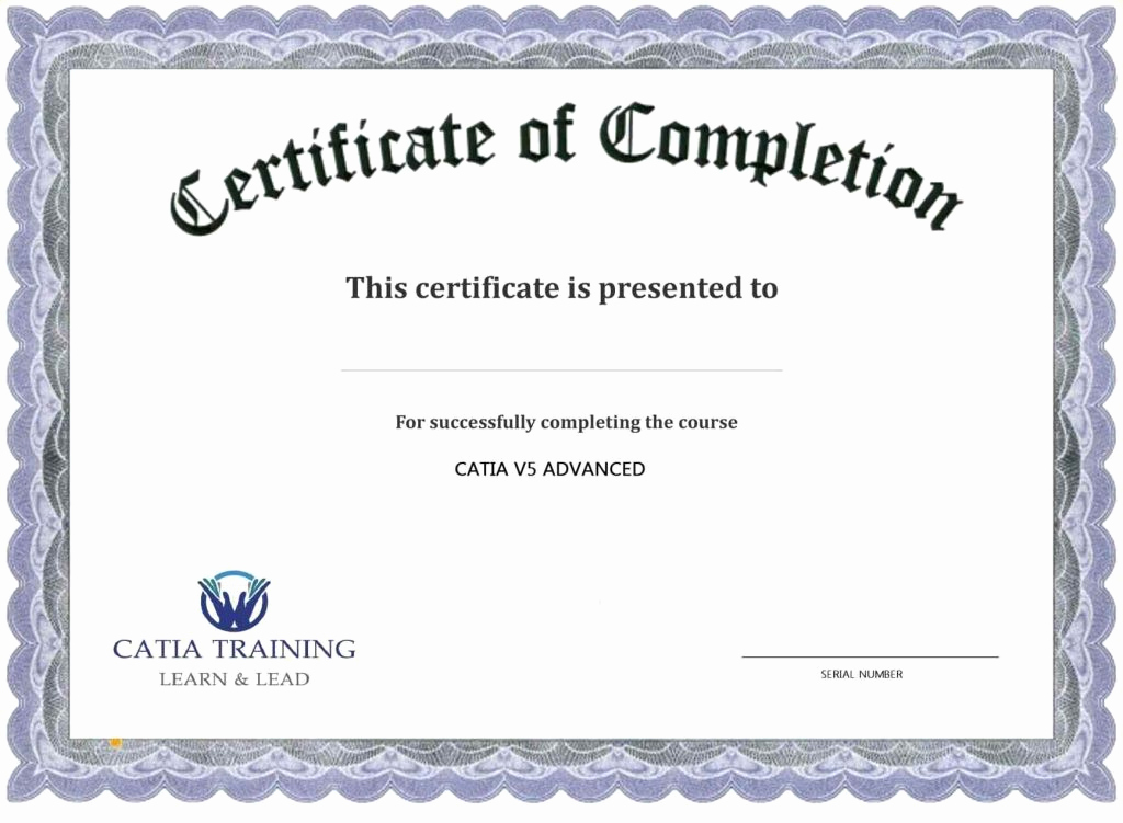 Training Certificate Template Doc Lovely Certificate Training Pletion Template Template