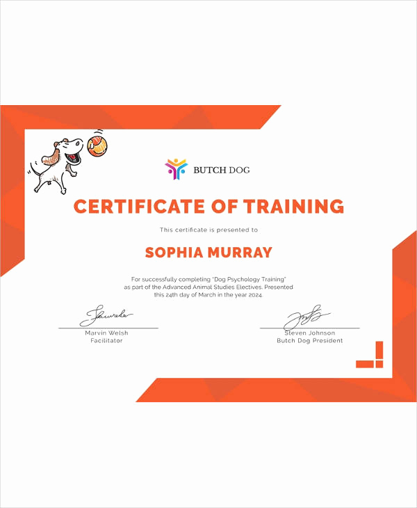 Training Certificate Template Doc New Certificate Template 45 Free Printable Word Excel Pdf