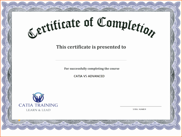 Training Certificate Template Free Download Awesome Certificate Template Free Printable Free Download
