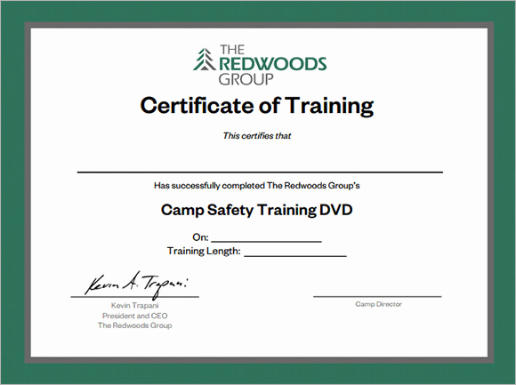 training certificates pdf sample
