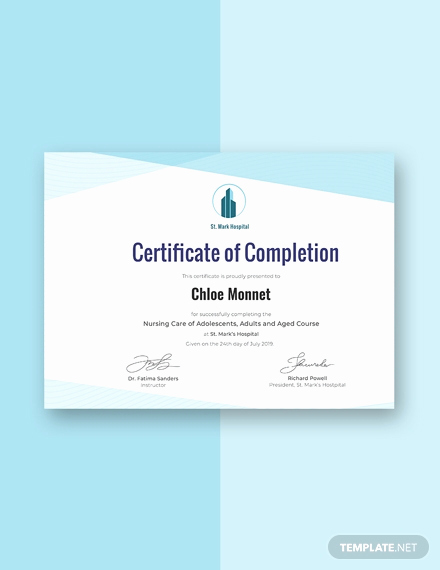 Training Certificate Template Free Download New Free Industrial Training Certificate Template Download