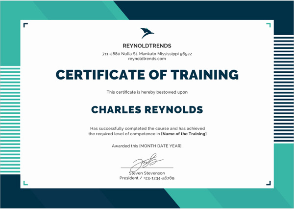 Training Certificate Template Free Download New Word Certificate Template 53 Free Download Samples